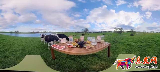 澳洲牧場享受豐盛早餐