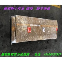 重康噴油嘴3003958（K發動機油嘴3016675-20