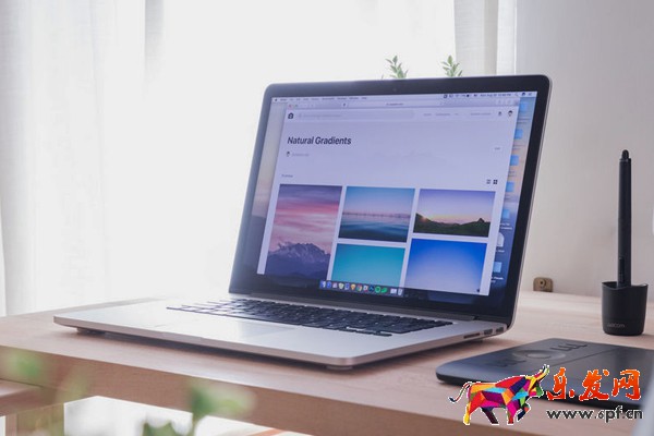 淘寶開店協議有什么需要注意的？70歲能開店嗎？